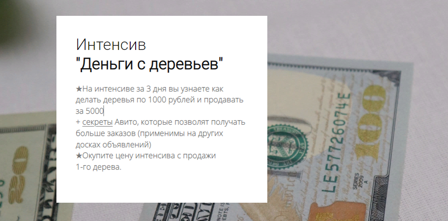 [my.love.dom] Деньги с деревьев (2023)_0.png